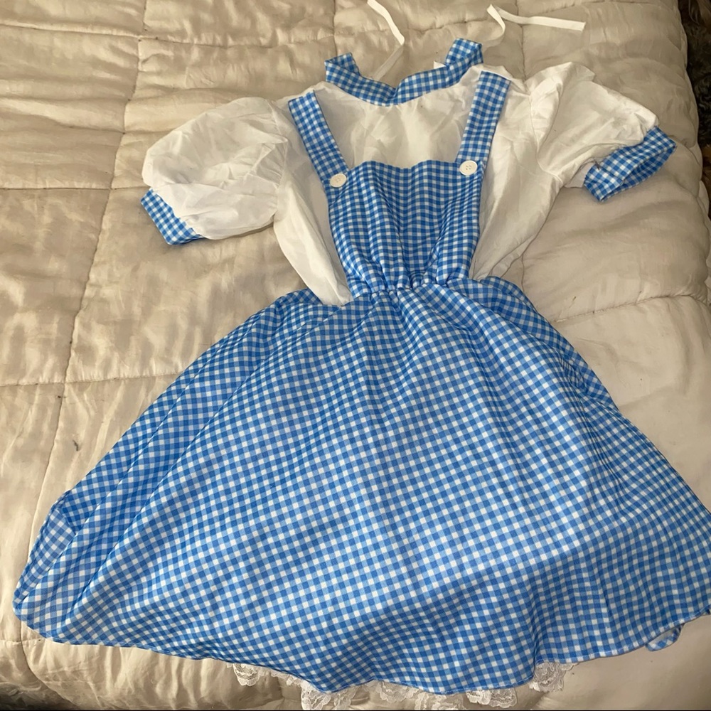Dorthy Wizard of Oz Costume